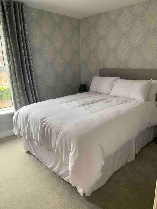 Apartament The Court Belfast Zewnętrze zdjęcie