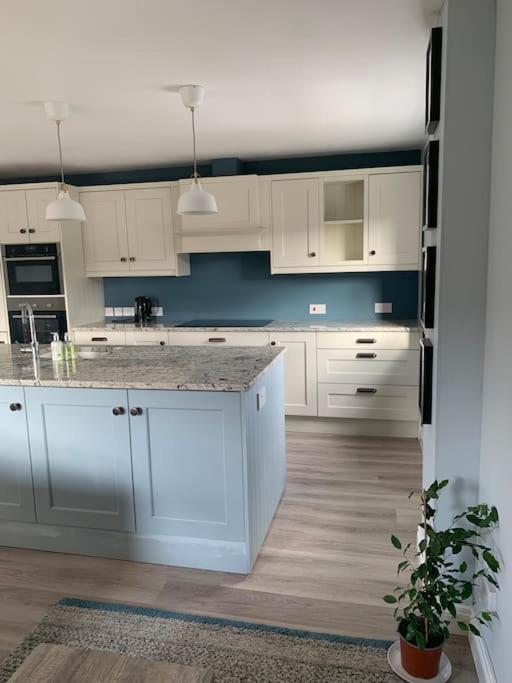 Apartament The Court Belfast Zewnętrze zdjęcie